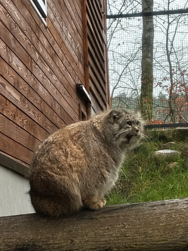 A photograph of Manuel in Gdansk Zoo