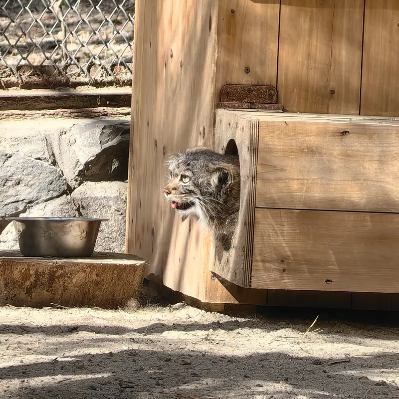 A photograph of Adele in Novosibirsk Zoo