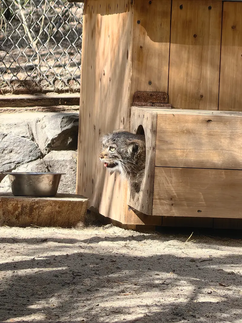 A photograph of Adele in Novosibirsk Zoo