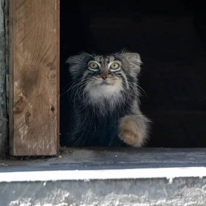 A photograph of Timofey in Moscow zoo