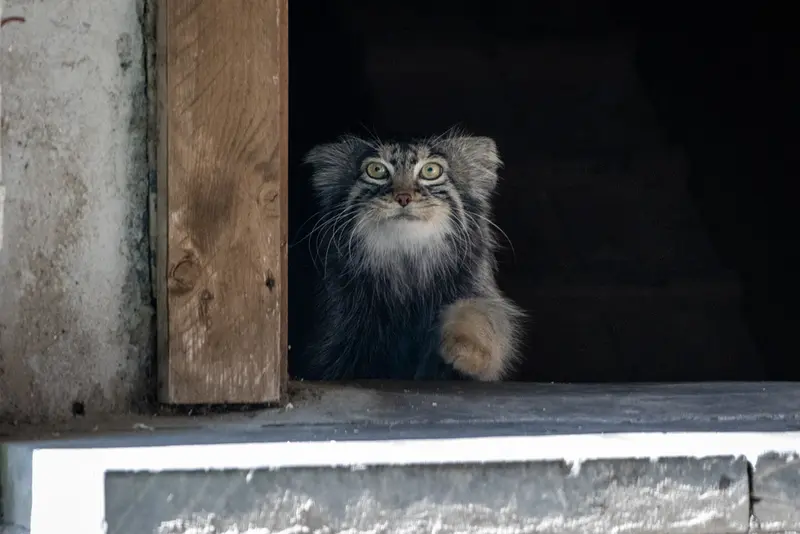 A photograph of Timofey in Moscow zoo