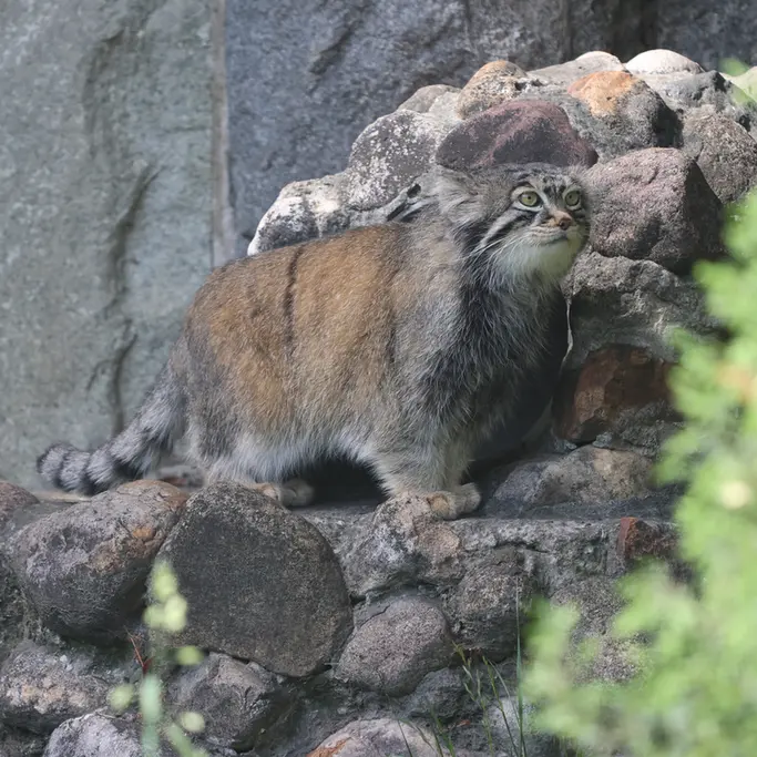 A photograph of Timofey in Moscow zoo