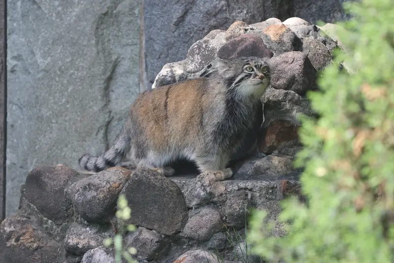 A photograph of Timofey in Moscow zoo