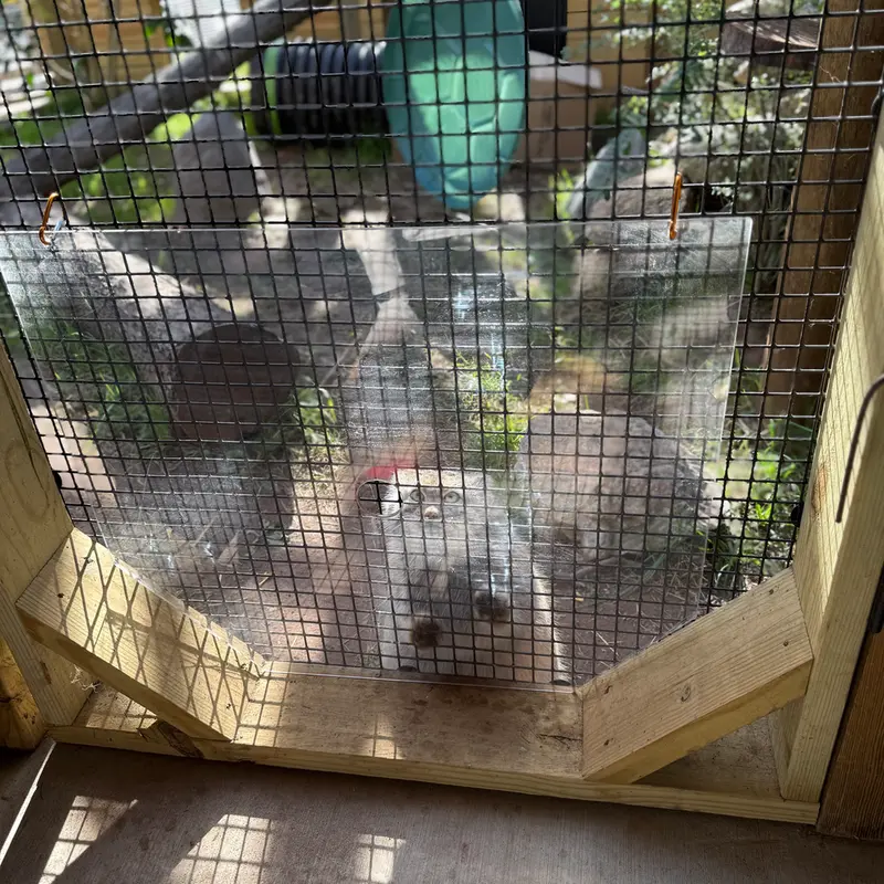A photograph of Reza in Elmwood Park Zoo