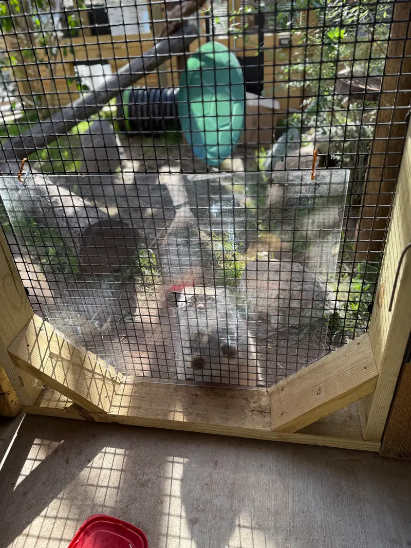 A photograph of Reza in Elmwood Park Zoo
