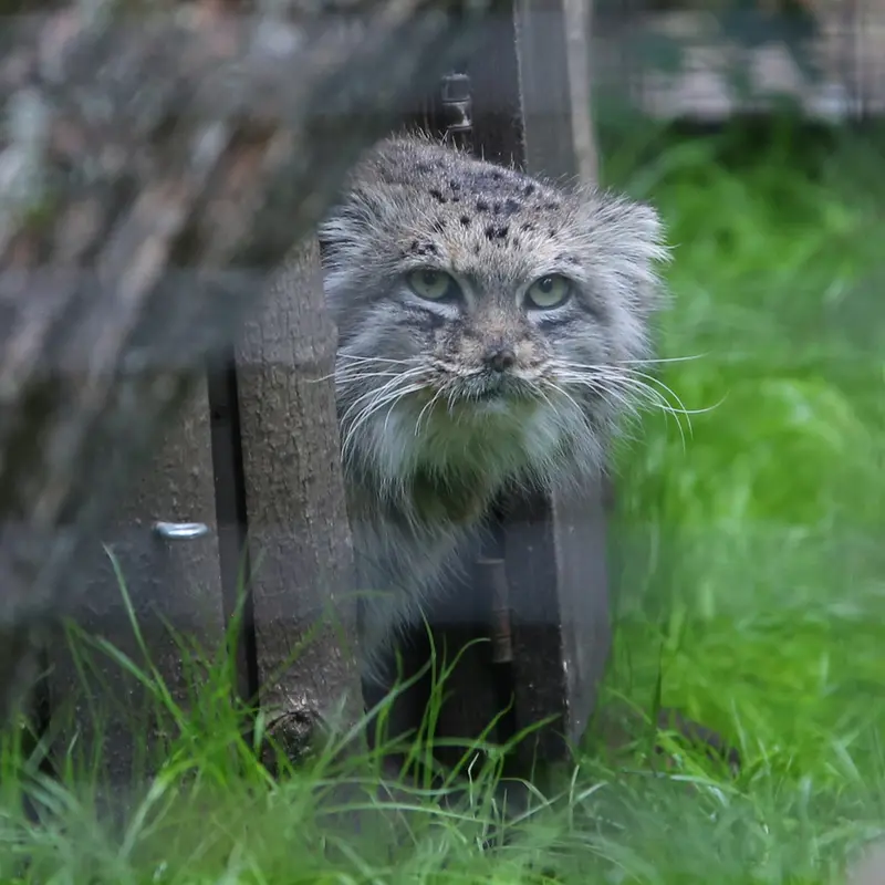 A photograph of Jessie in Warsaw Zoo