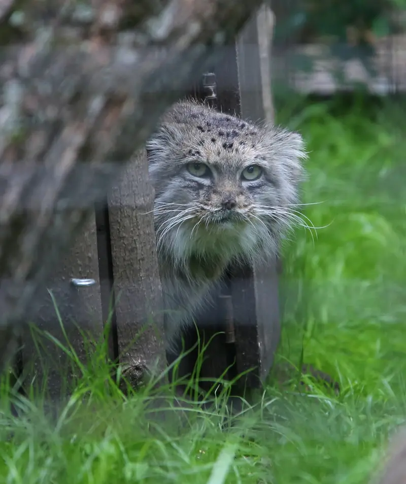 A photograph of Jessie in Warsaw Zoo