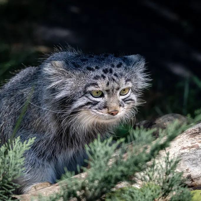 A photograph of Timofey in Moscow zoo