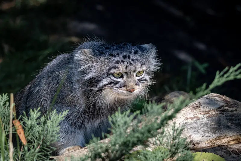 A photograph of Timofey in Moscow zoo
