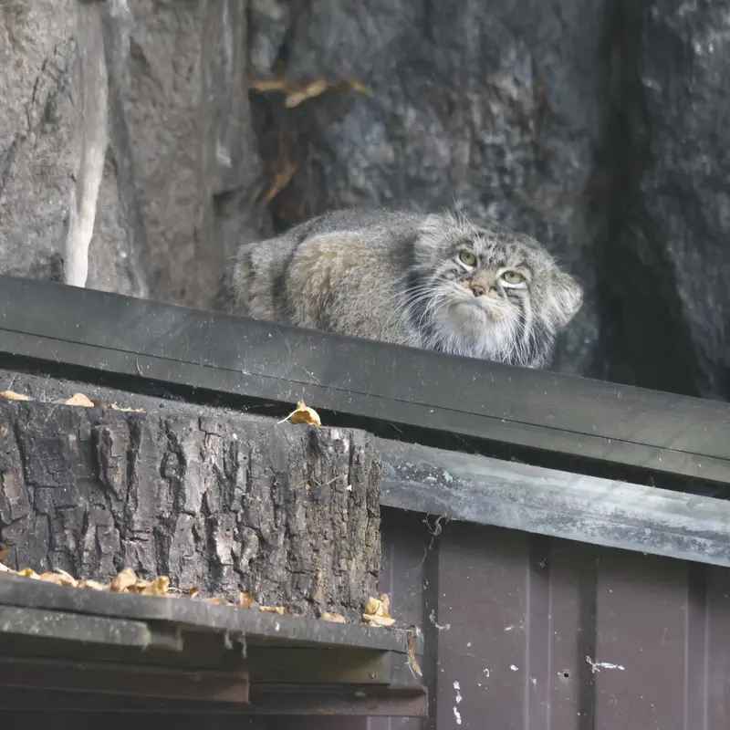 A photograph of Timofey in Moscow zoo