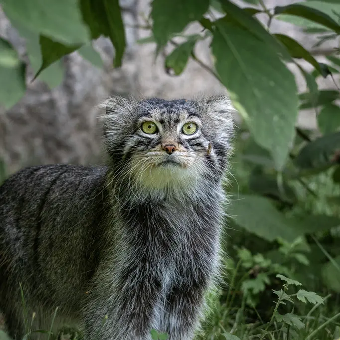 A photograph of Timofey in Moscow zoo
