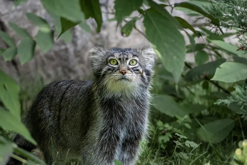 A photograph of Timofey in Moscow zoo