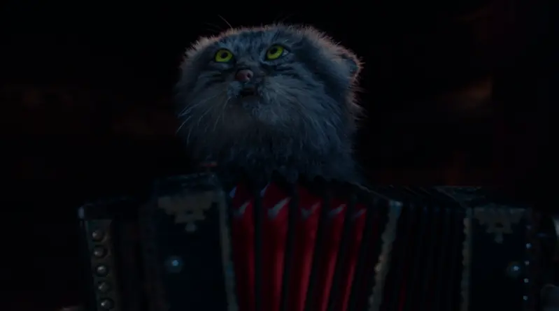 A photograph of a Pallas's cat