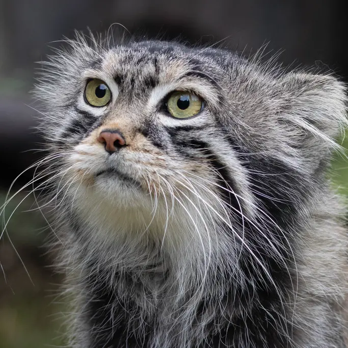 A photograph of Timofey in Moscow zoo