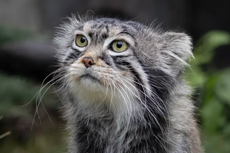 A photograph of Timofey in Moscow zoo