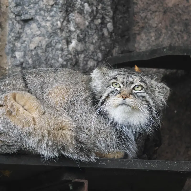 A photograph of Timofey in Moscow zoo
