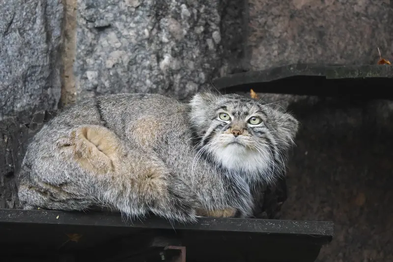 A photograph of Timofey in Moscow zoo