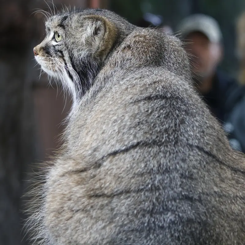 A photograph of Timofey in Moscow zoo
