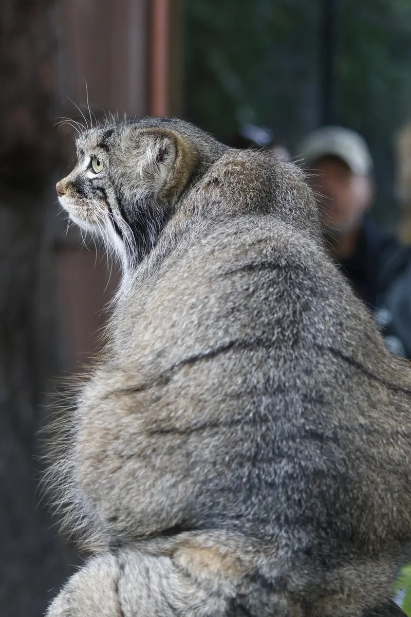 A photograph of Timofey in Moscow zoo
