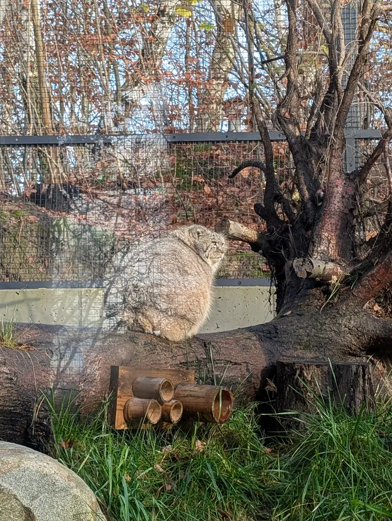 A photograph of Manuel in Gdansk Zoo
