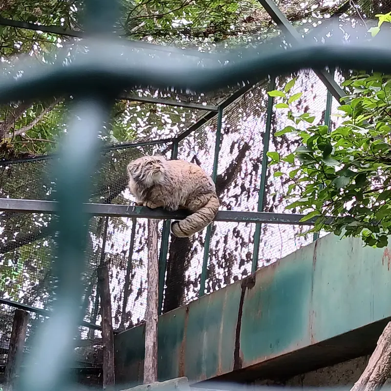 A photograph of Bohus in Budapest Zoo &amp; Botanical Garden