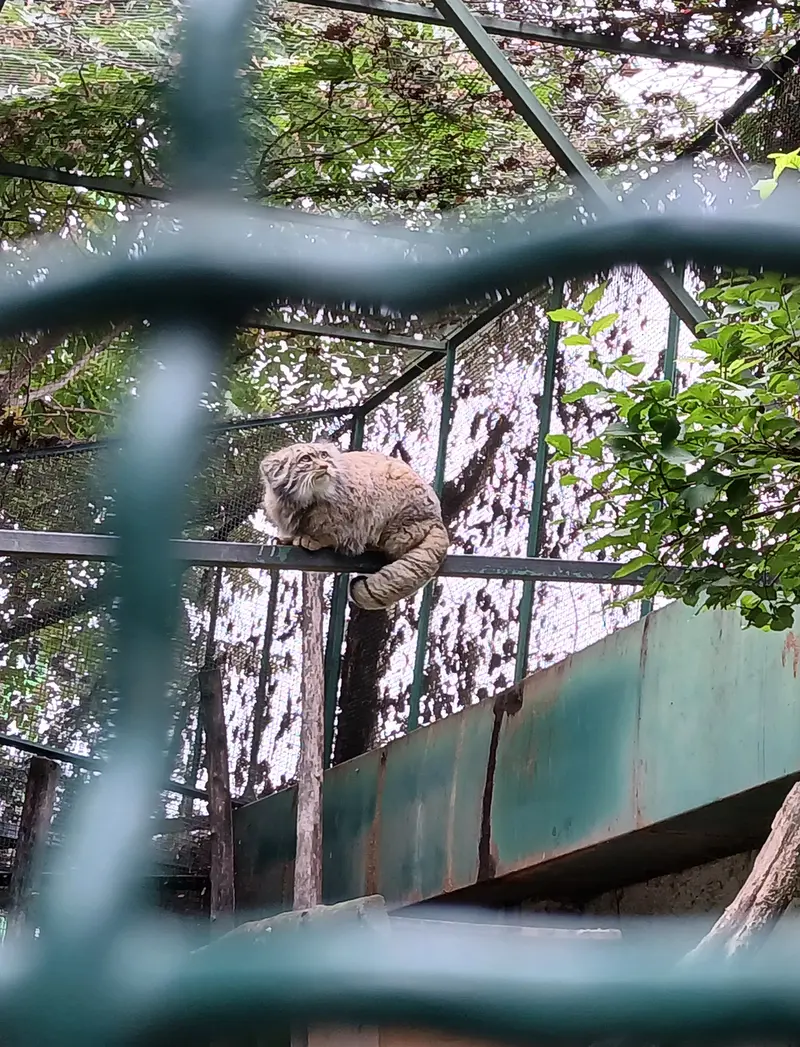 A photograph of Bohus in Budapest Zoo &amp; Botanical Garden