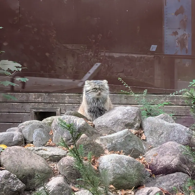 A photograph of Bozenka in Poznan New Zoo