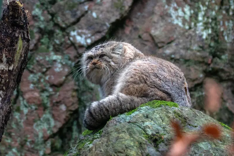 A photograph of Thomas O'Malley in Nordens Ark