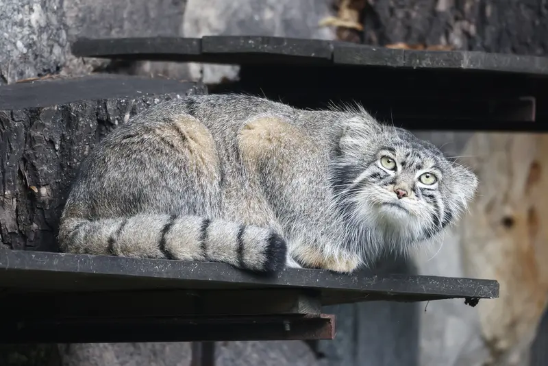 A photograph of Timofey in Moscow zoo