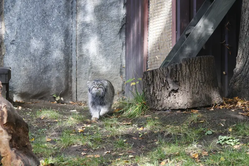 A photograph of Timofey in Moscow zoo