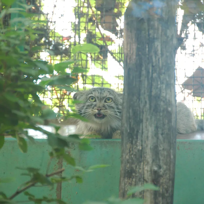A photograph of Lucy in Budapest Zoo & Botanical Garden