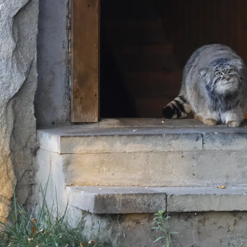 A photograph of Timofey in Moscow zoo