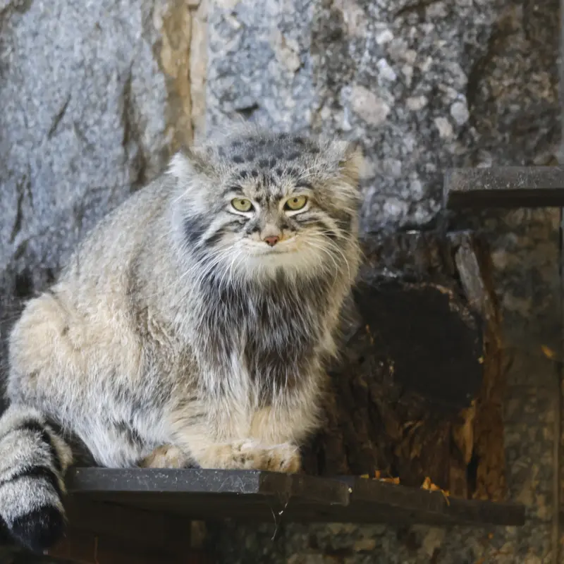 A photograph of Timofey in Moscow zoo