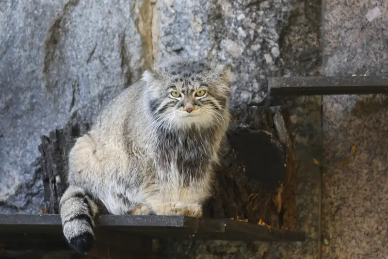 A photograph of Timofey in Moscow zoo