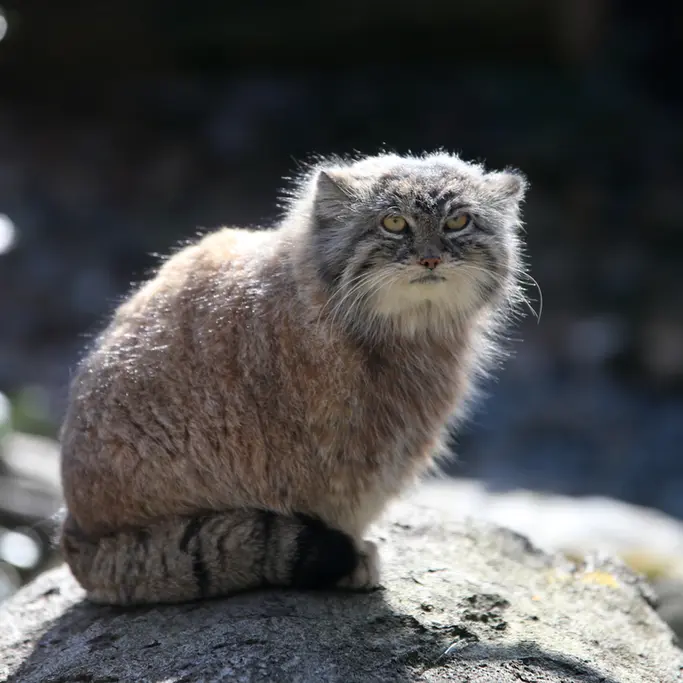 A photograph of Moira in Ostrava Zoo