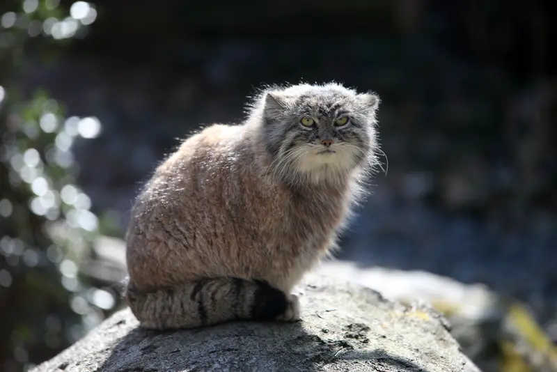 A photograph of Moira in Ostrava Zoo