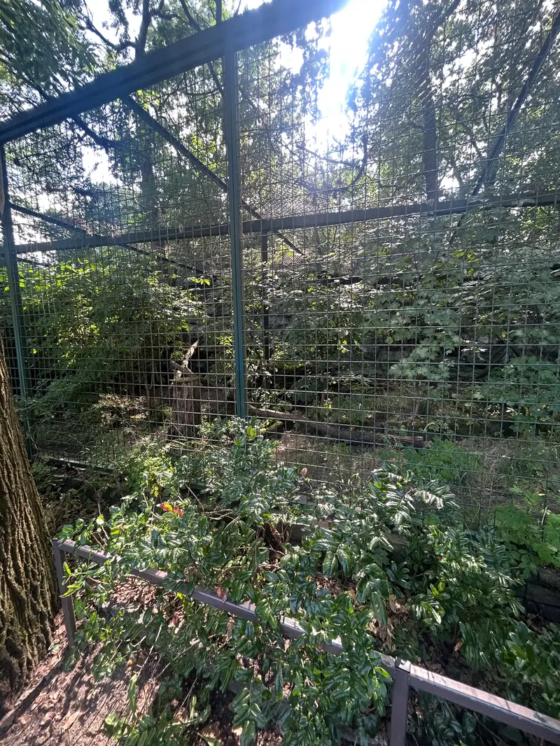A photograph of Maneki-Neko in Tierpark Berlin