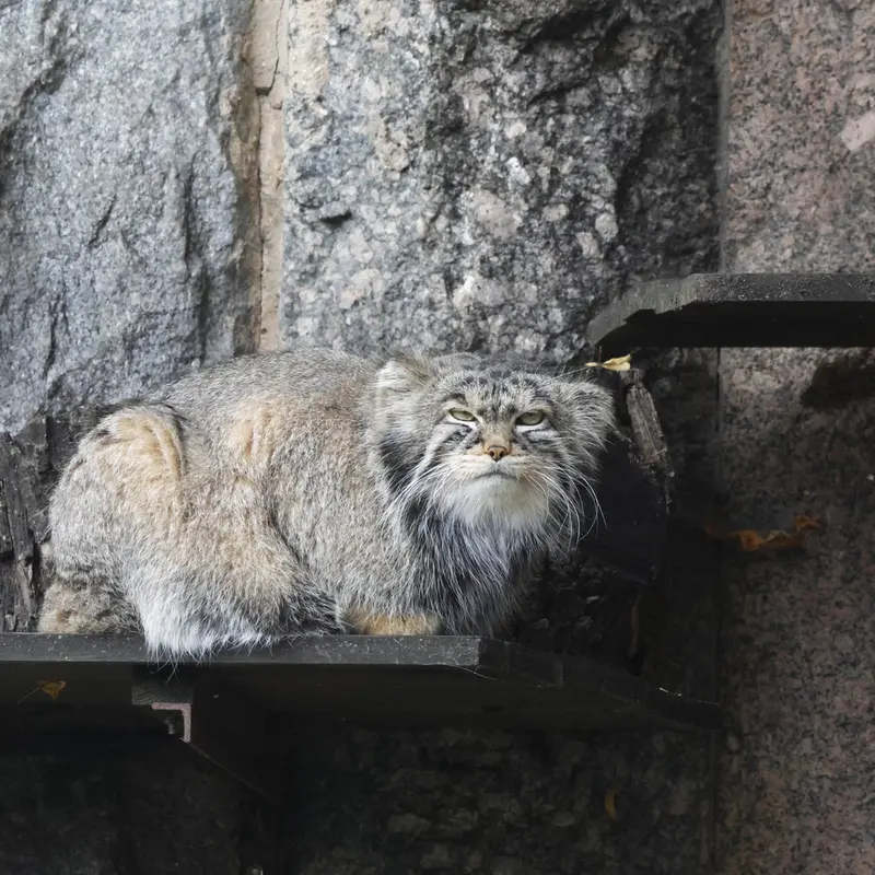 A photograph of Timofey in Moscow zoo