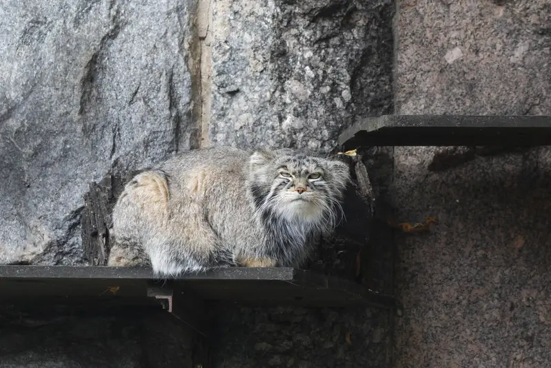 A photograph of Timofey in Moscow zoo