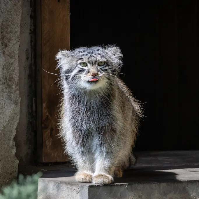 A photograph of Timofey in Moscow zoo