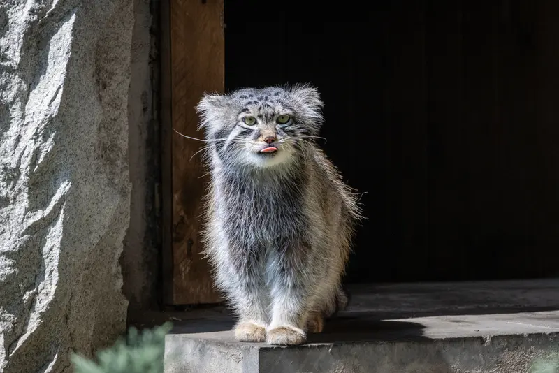 A photograph of Timofey in Moscow zoo