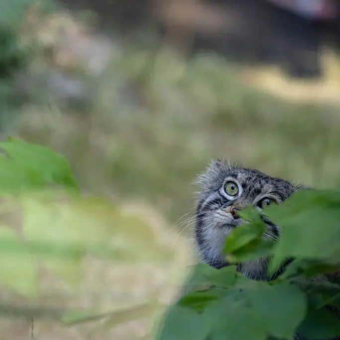A photograph of Timofey in Moscow zoo