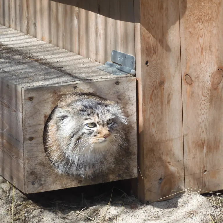 A photograph of Gabi in Novosibirsk Zoo