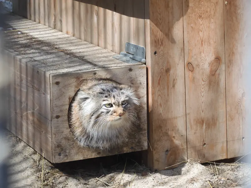 A photograph of Gabi in Novosibirsk Zoo