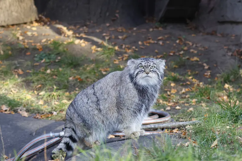 A photograph of Timofey in Moscow zoo