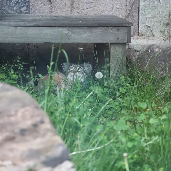 A photograph of Timofey in Moscow zoo