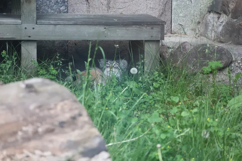 A photograph of Timofey in Moscow zoo