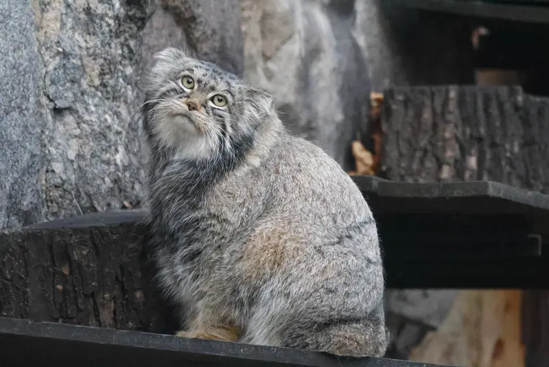 A photograph of Timofey in Moscow zoo