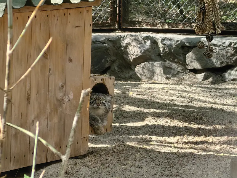 A photograph of Snezhana in Novosibirsk Zoo