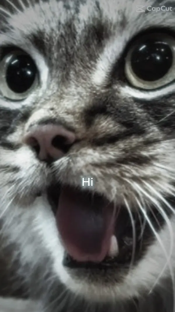 what have I done…2